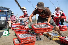 Thừa Thiên - Huế hỗ trợ khẩn cấp ngư dân 